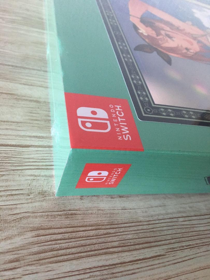 ライザのアトリエ2 Switch用　ゲオver ＋ クリアファイル