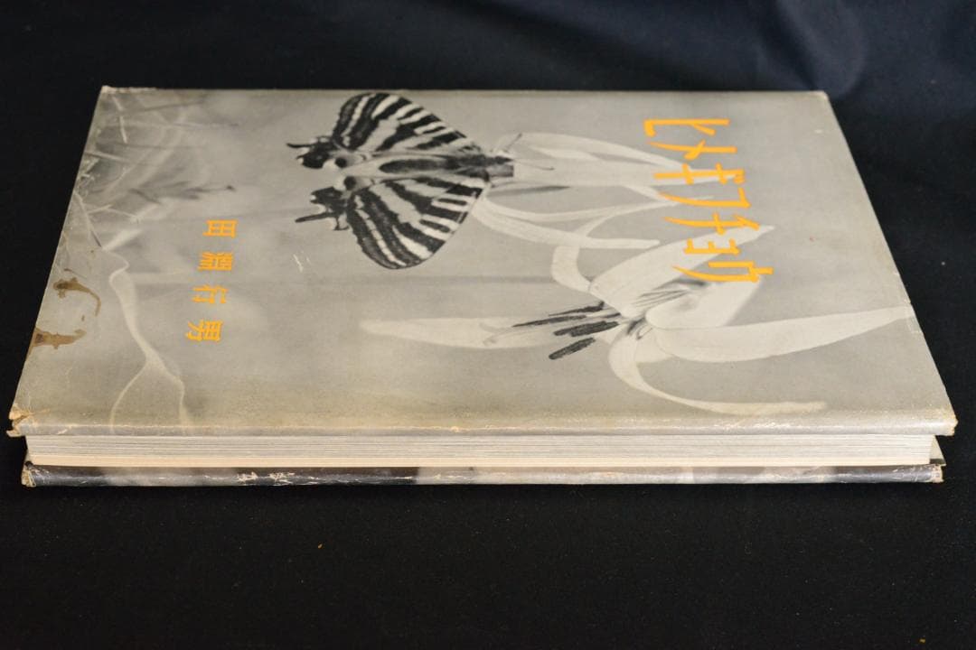 【ヒメギフチョウ】田淵行男　1957年初版　　★★大幅に値下げしました