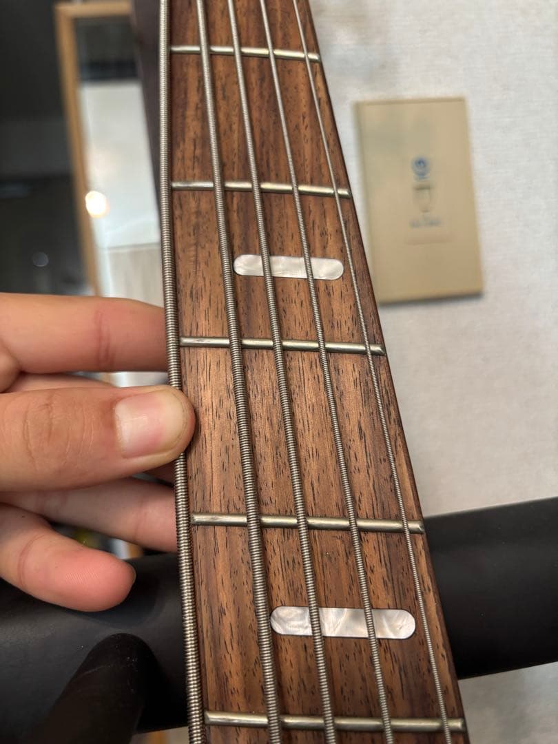 (5弦ベース)IBANEZ / SRFF805 Black Stained