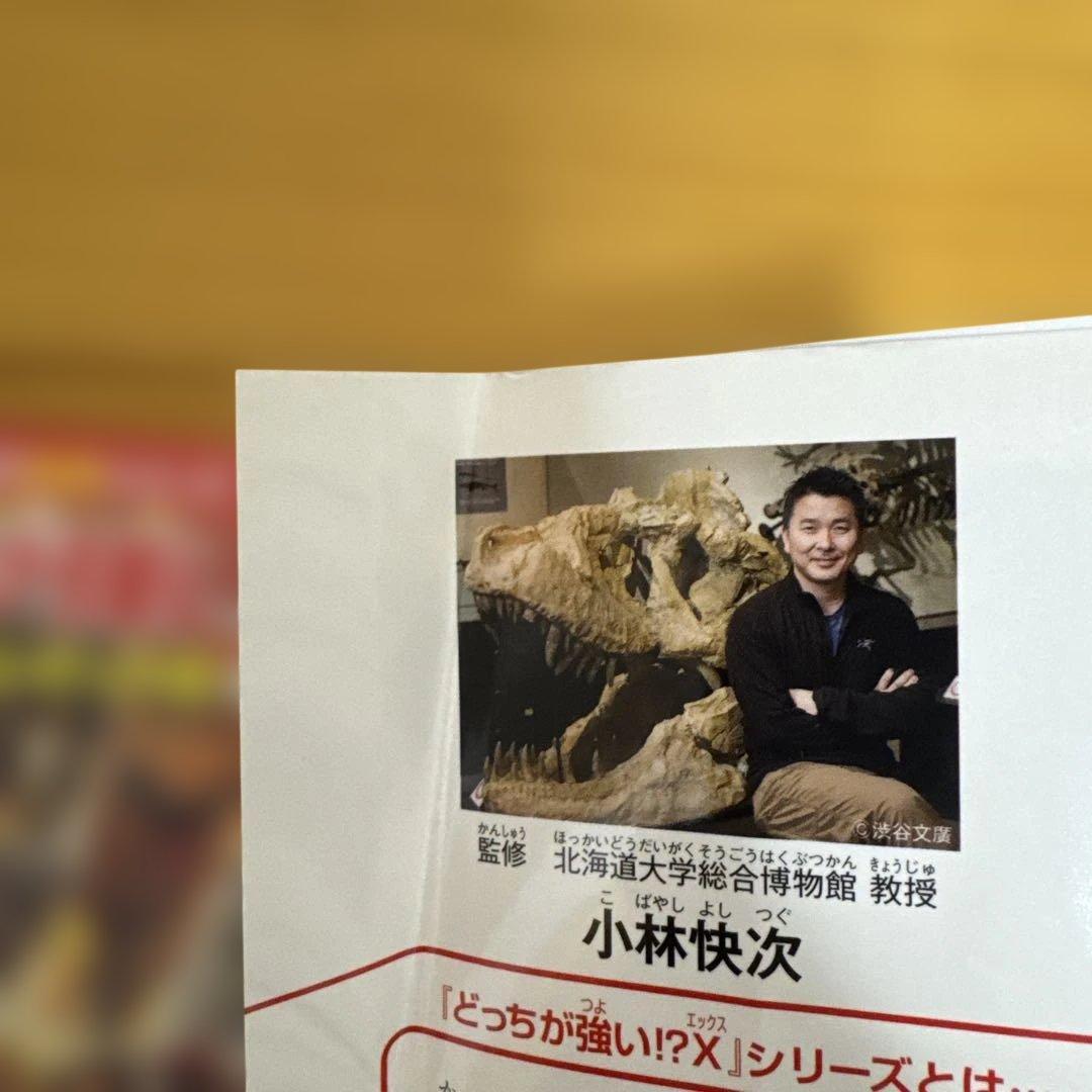 どっちが強い！？シリーズ22冊+どっちが強い！？Ｘ　12巻　合計34冊　セット