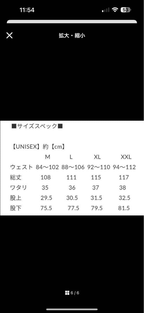 SAPEur サプール スケート パンツ ブラック XL