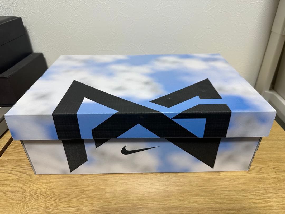 シューズ(男性用) NIKE PG6