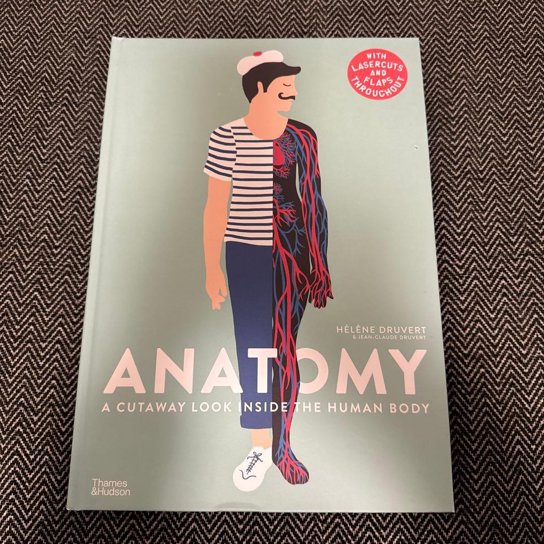 アート・デザイン・音楽 ANATOMY: A Cutaway Look Inside