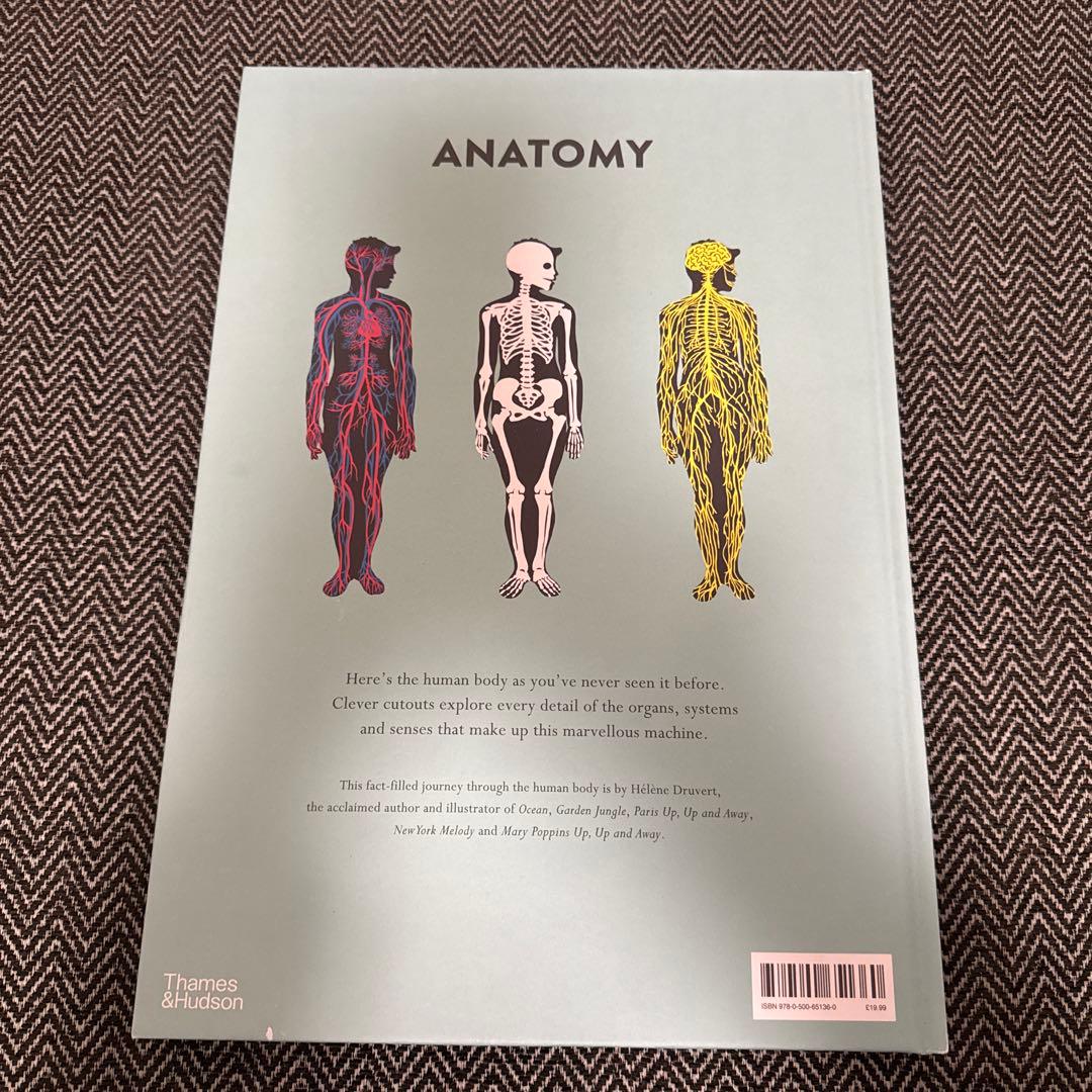 アート・デザイン・音楽 ANATOMY: A Cutaway Look Inside