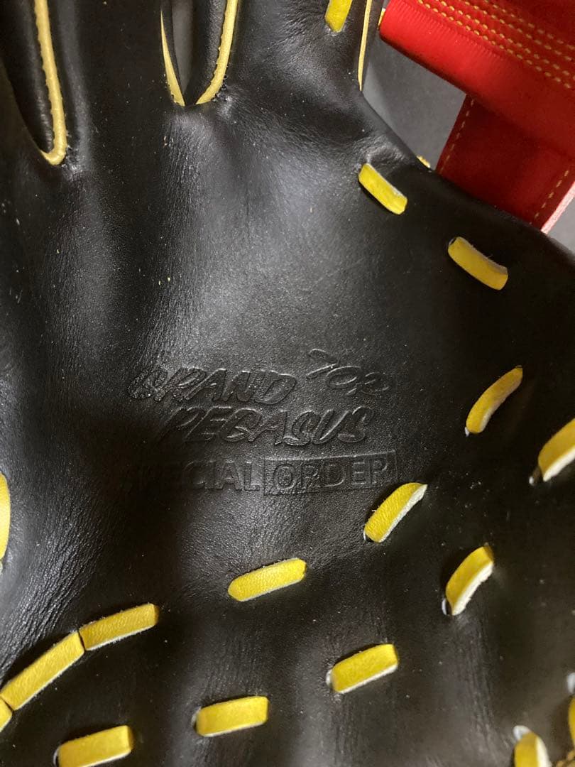 ワールドペガサスグランドペガサスTOPオーダー硬式軟式兼用ライパチモデル左投用②