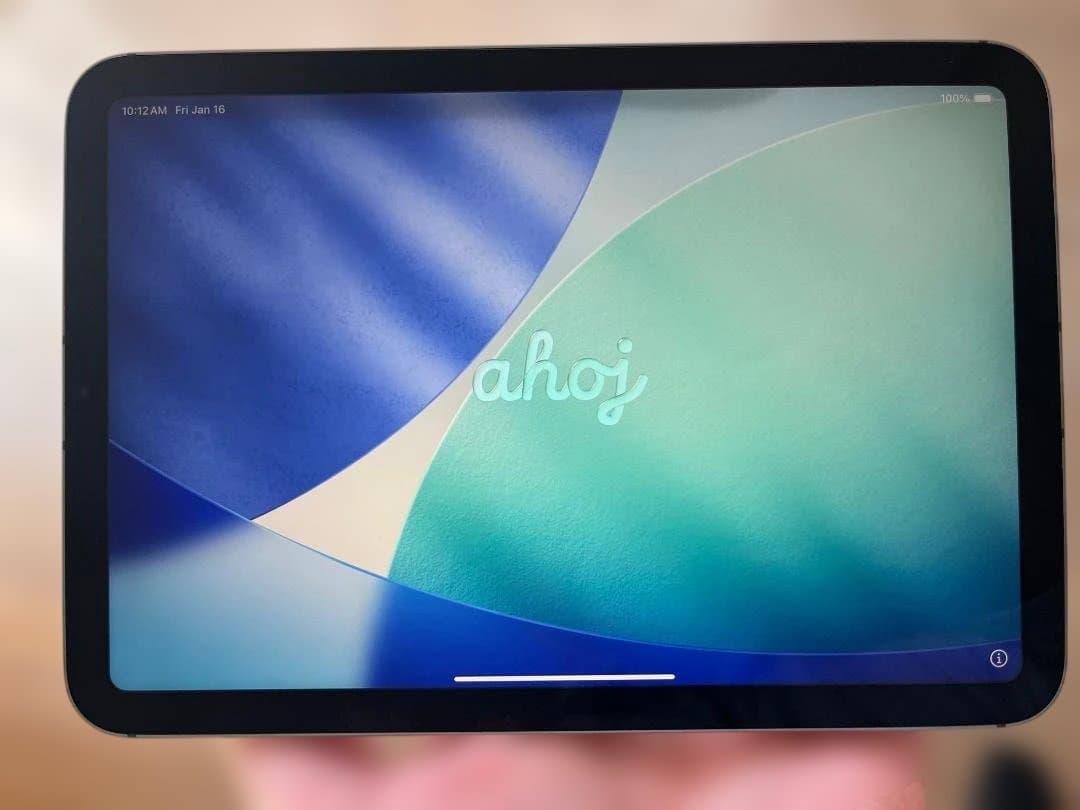 iPad mini 6 Wi-Fi + Cellular 64GB（ジャンク品）