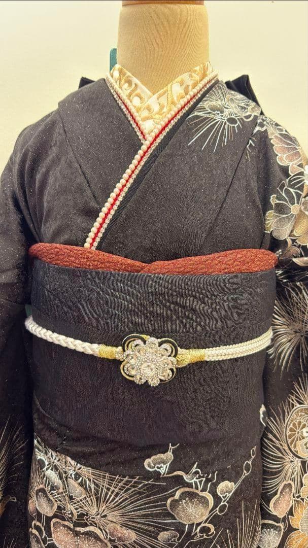 黒地　振袖のみ