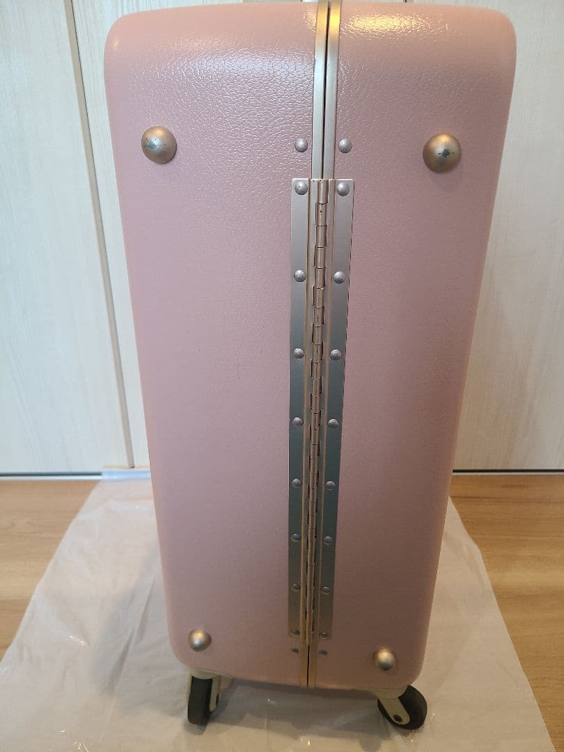 スーツケース　ACE HaNT　大容量87L