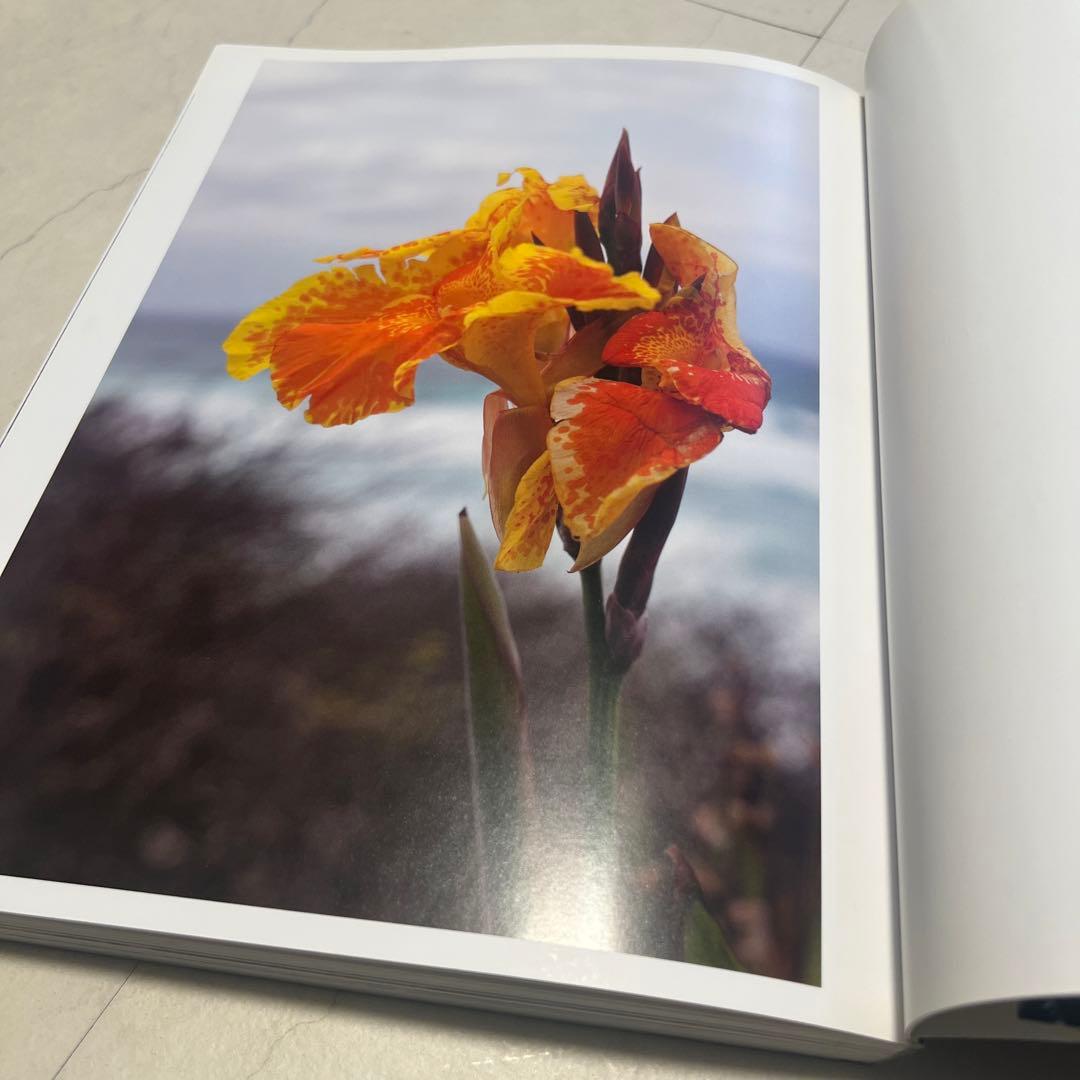 洋書 Wolfgang Tillmans / Neue Welt