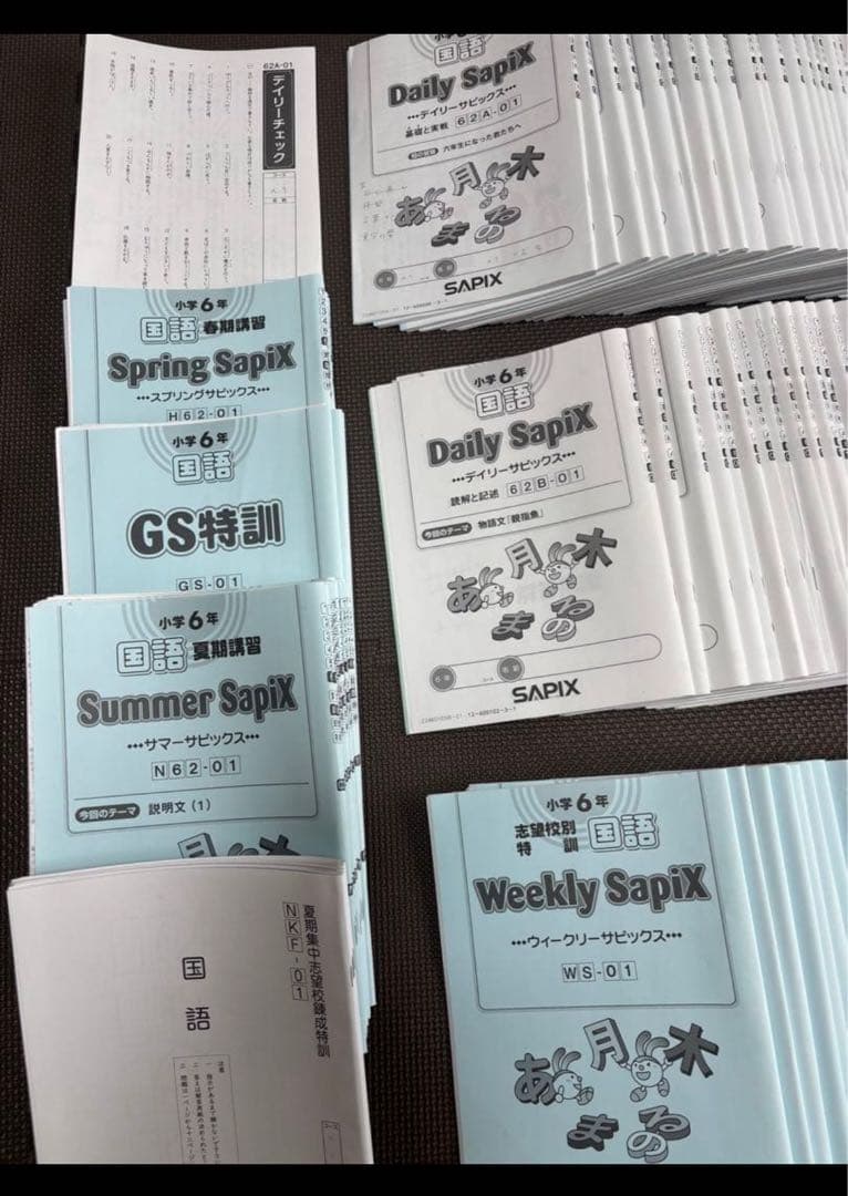 サピックス SAPIX 6年 国語 1年分 テキスト チェックテスト フルセット