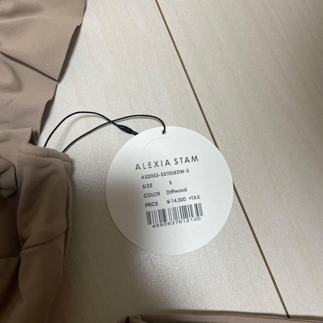 ALEXIA STAM Driftwood ビキニ Sサイズ