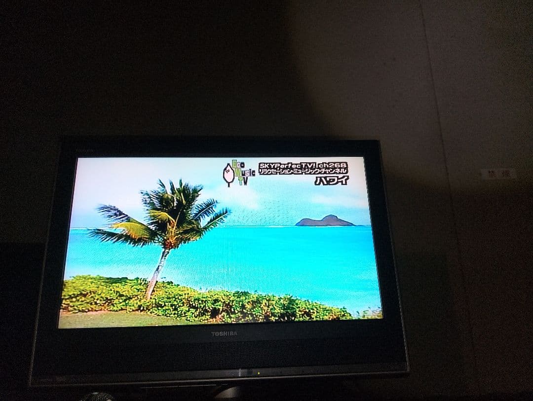 花*利様 家庭用、G50II，動作品。楽曲2010年頃、