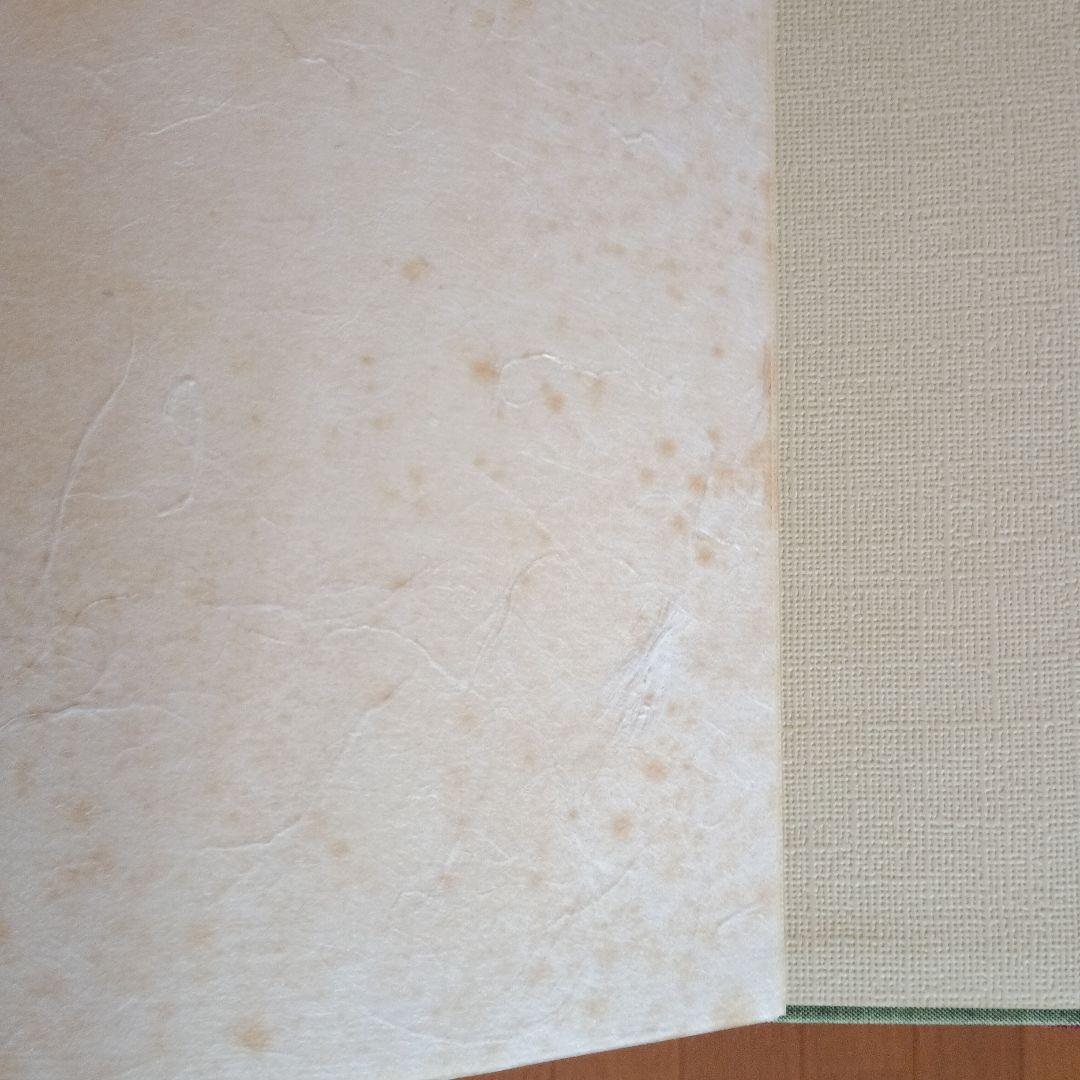 飯田の美術　十人集　豪華画集　S