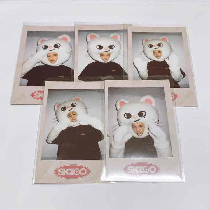 StrayKids SKZOO ポラロイド ヒョンジン