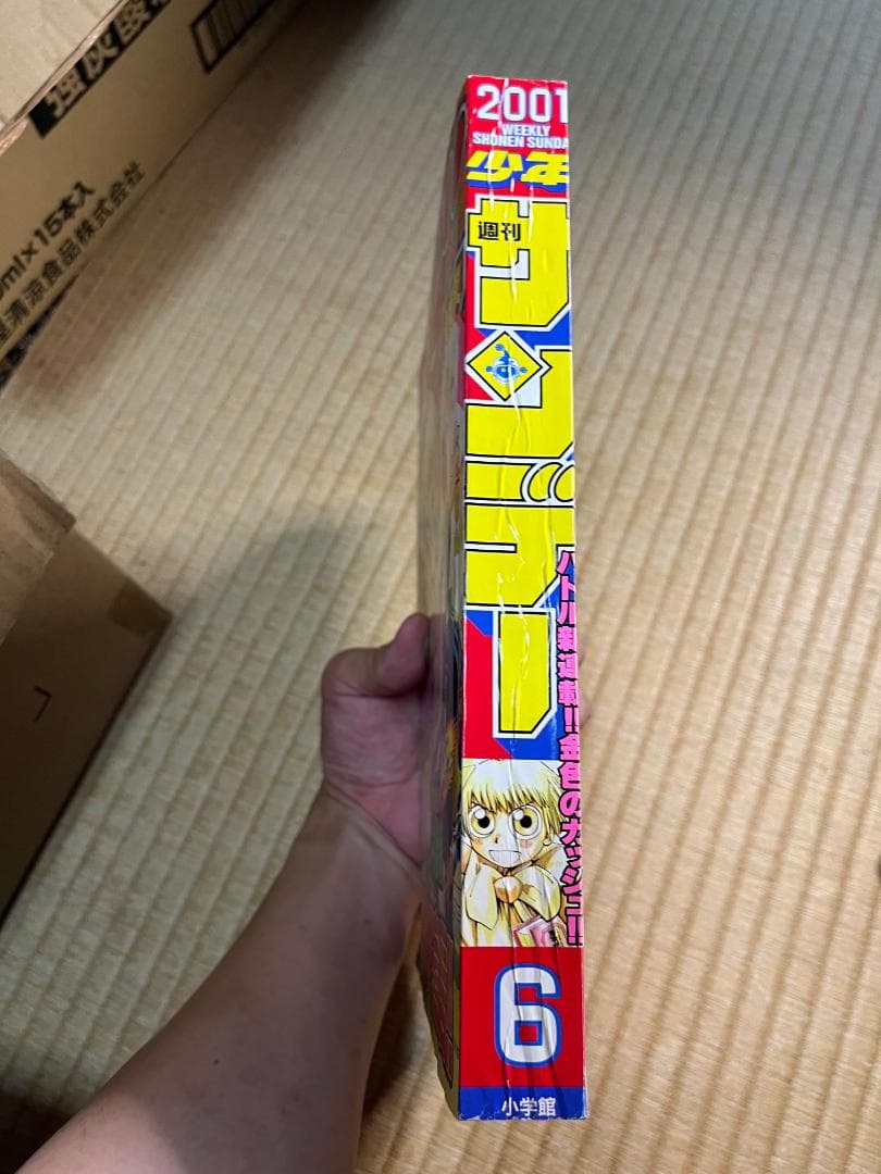 週刊少年サンデー　2001年　6号　金色のガッシュベル　雷句誠　新連載