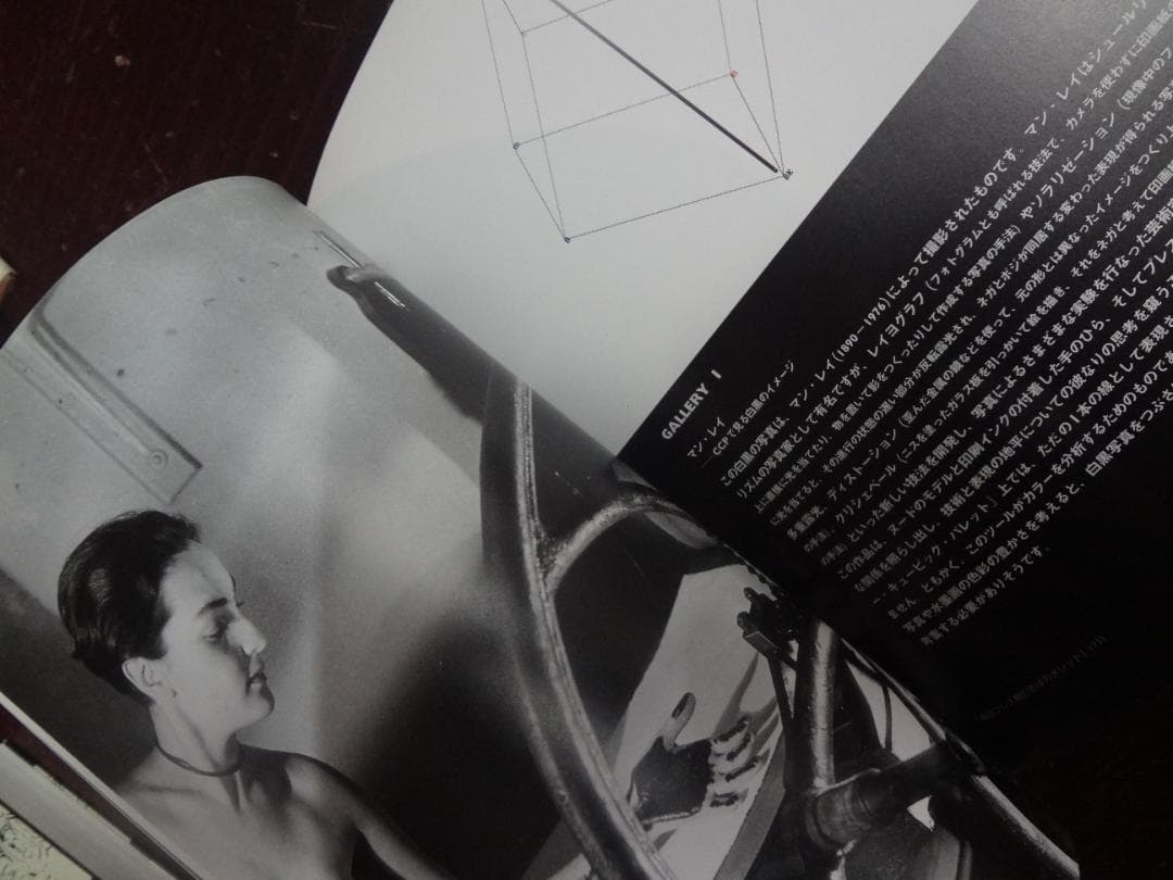 Color as Concept カラー・アズ・コンセプト CDROM付