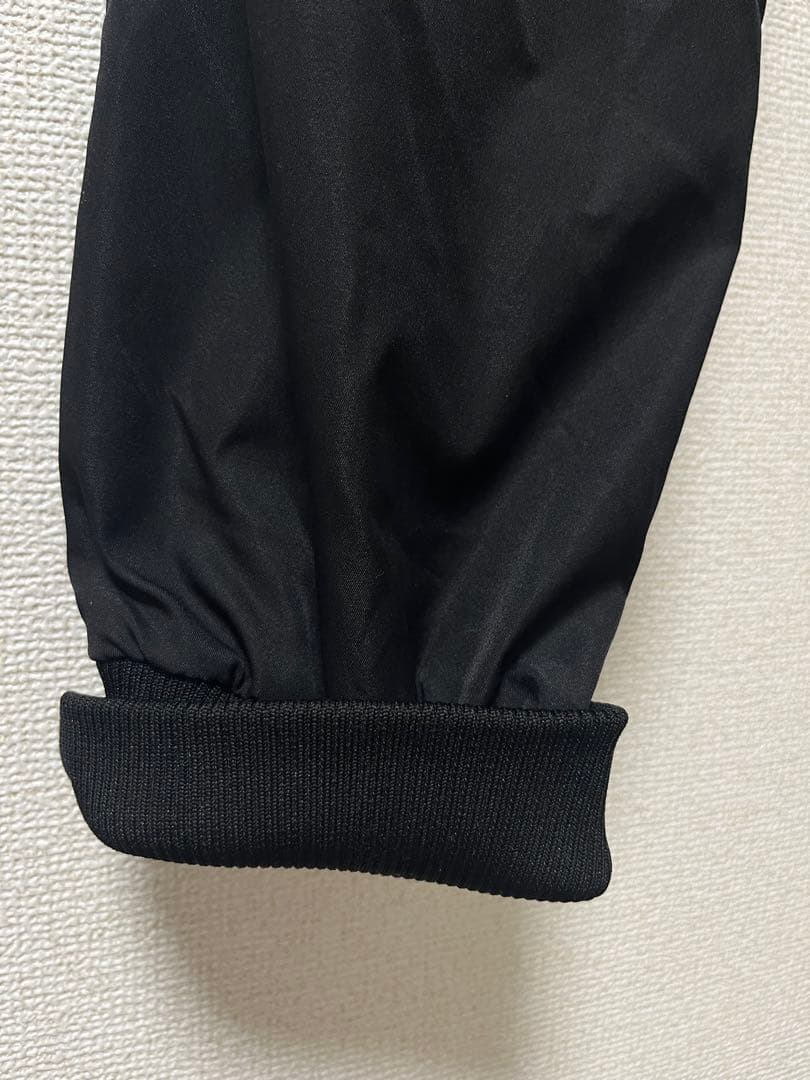 FR2 金沢限定 柳 カーゴパンツ