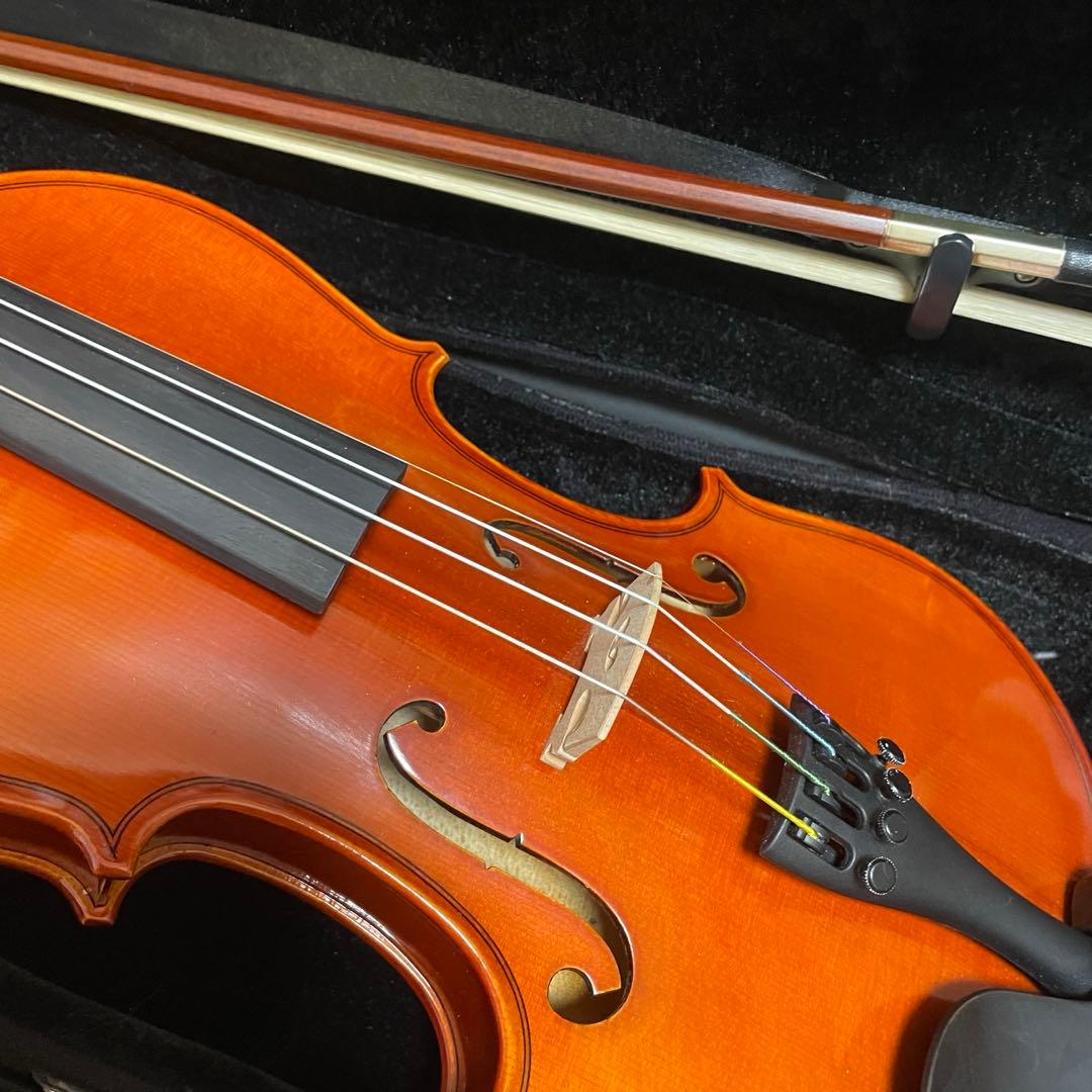 Andreas Eastman VL80 3/4 2016年