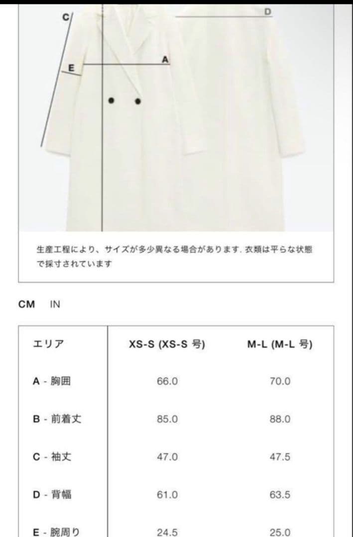 【タグ付美品】ZARA × Stefano Pilati ファーコート