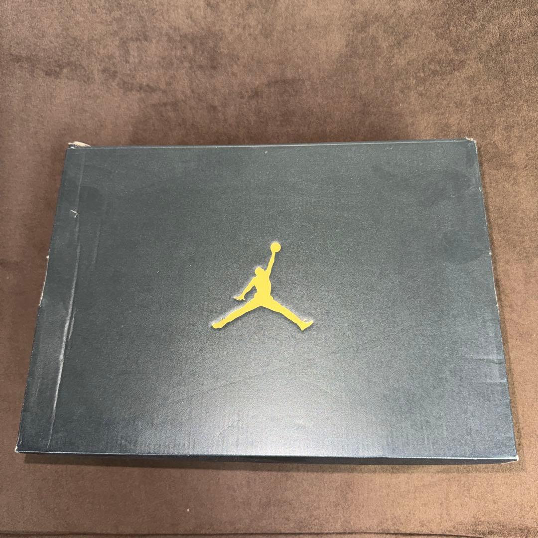 JORDAN ADG2 28.5cm レア新品♪