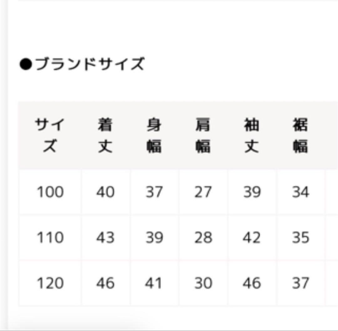 THE NORTH FACE マイクロゼファーカーディガン　120