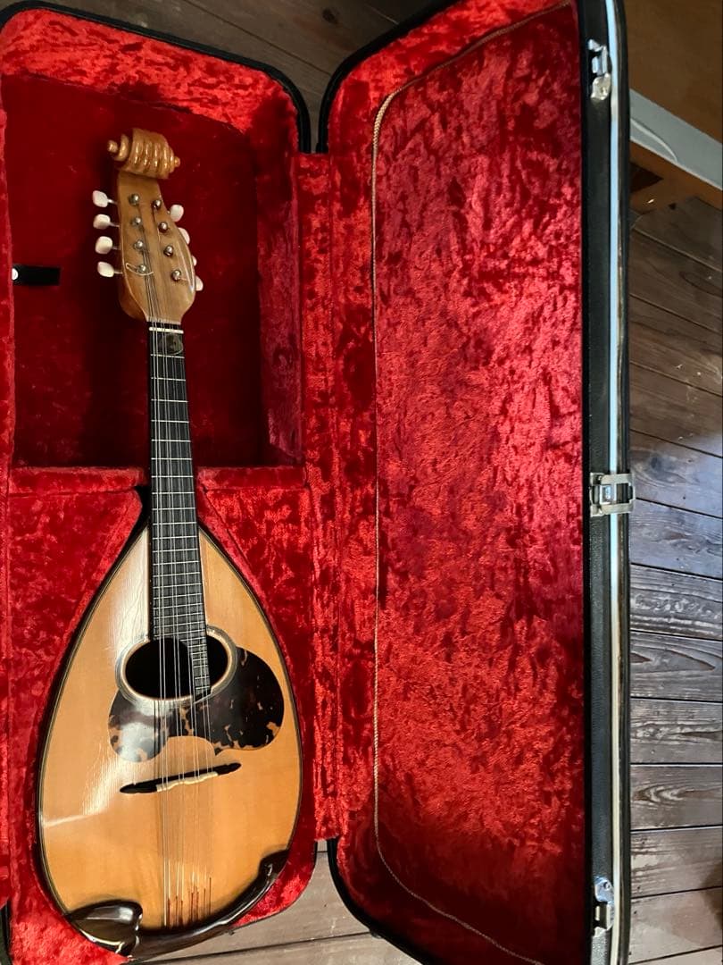 鈴木バイオリン　マンドリン　no.100