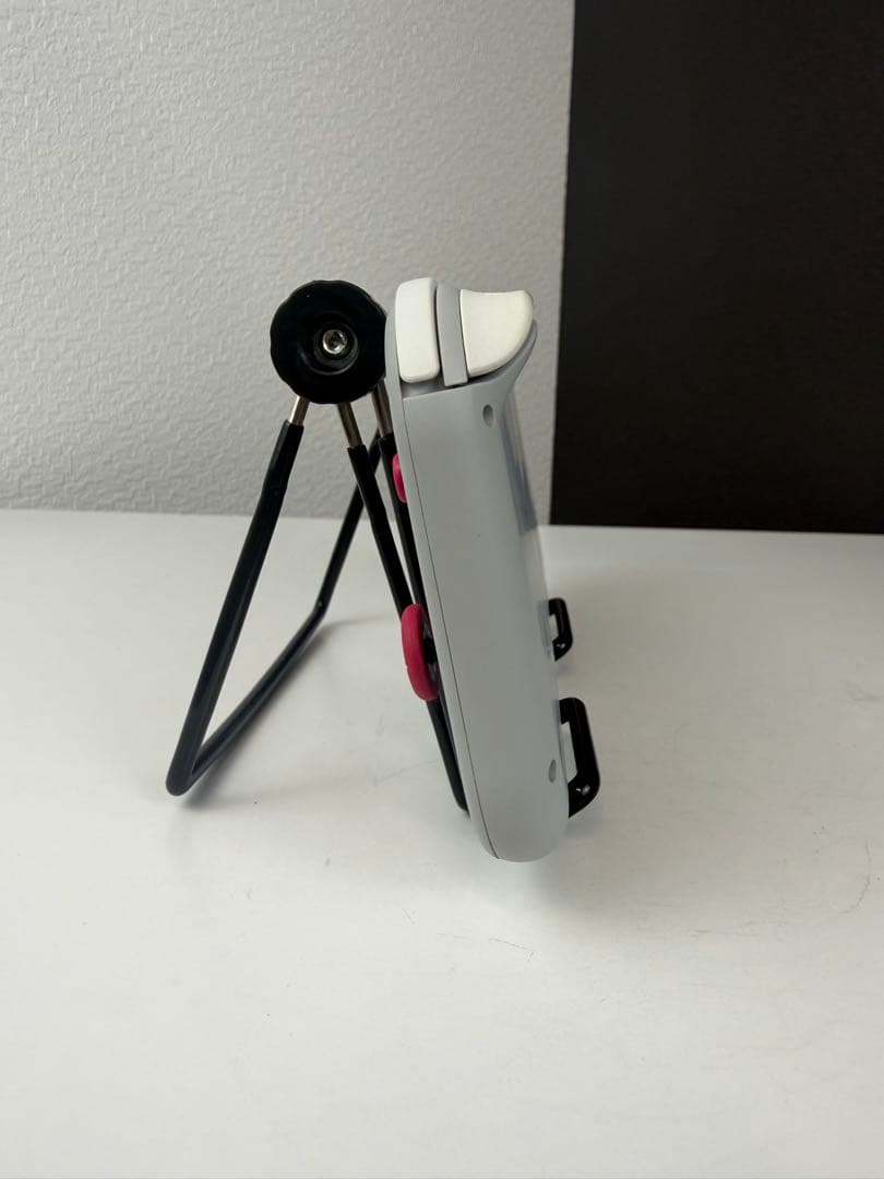 Nintendo Switch Lite 本体　ポケモン　ザシアン・ザマゼンタ