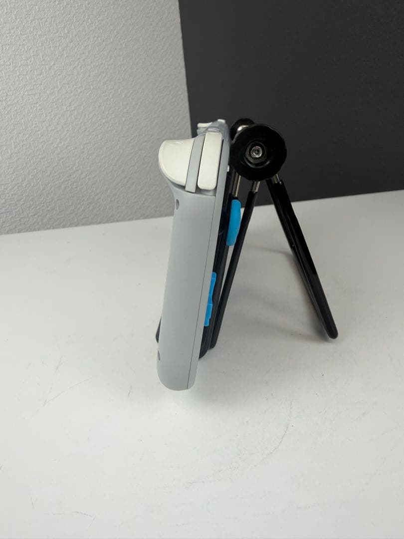 Nintendo Switch Lite 本体　ポケモン　ザシアン・ザマゼンタ