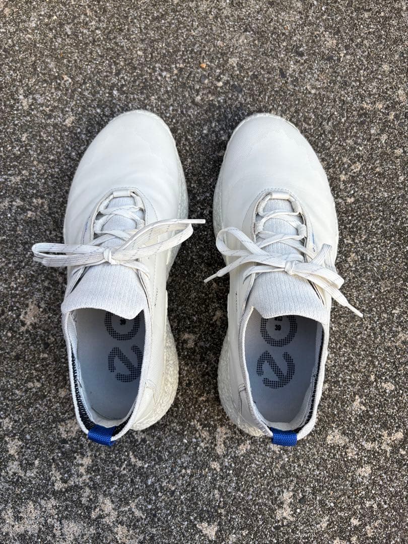 ecco BIOM H5 ゴルフシューズ　サイズ39