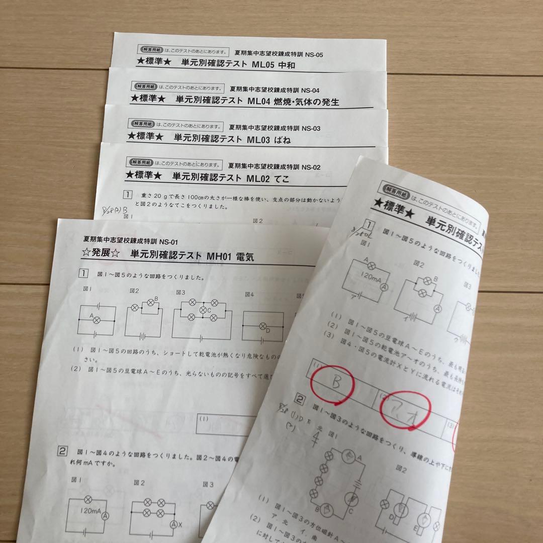 2025年組　サピックス　開成　夏期　志望校別