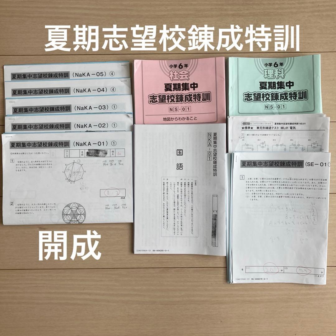 2025年組　サピックス　開成　夏期　志望校別