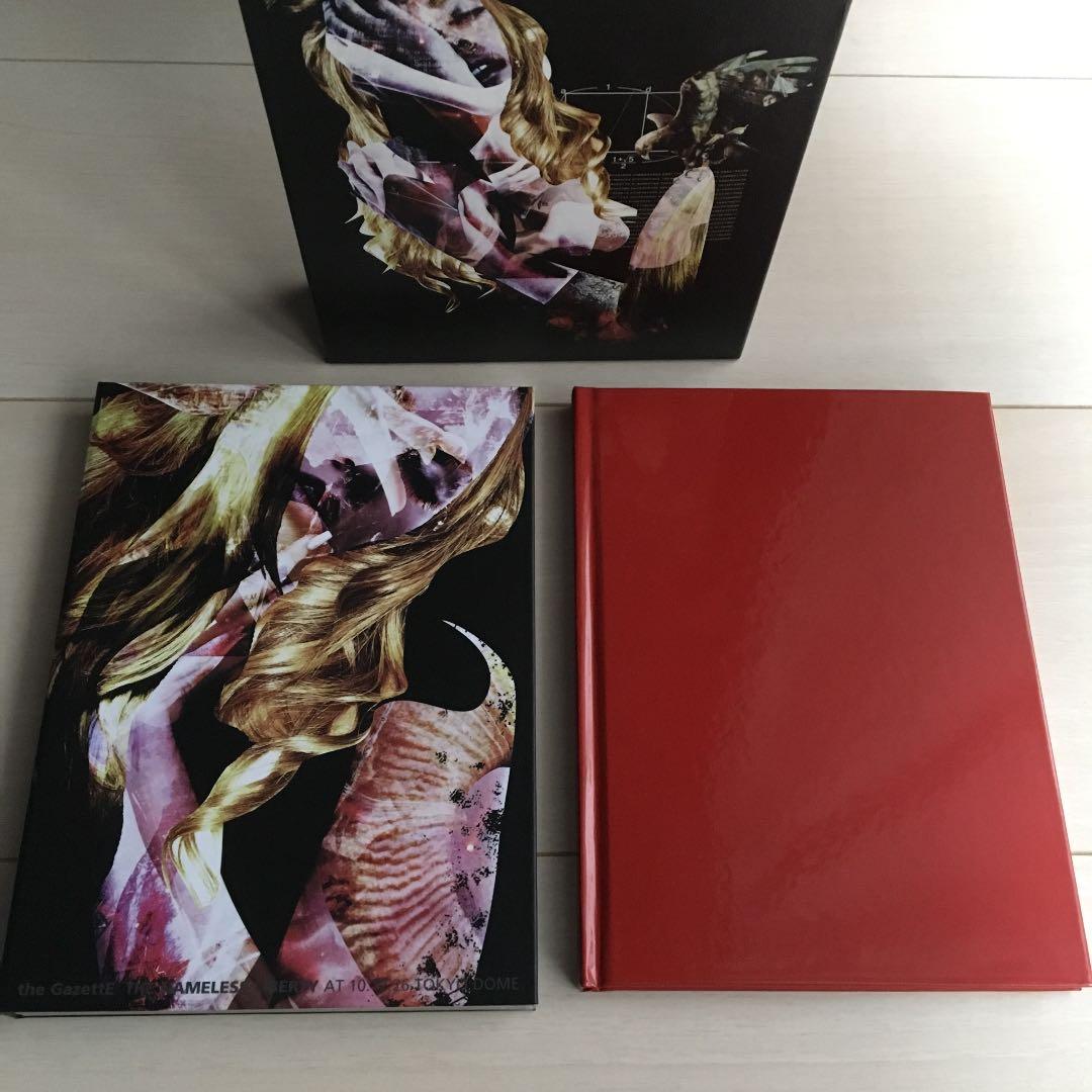 ガゼット the GazettE 2010 TOKYO DOME