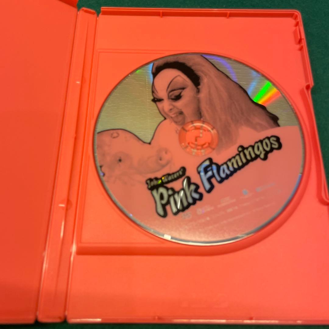 ピンク・フラミンゴ　ノーカット特別版DVD-BOX
