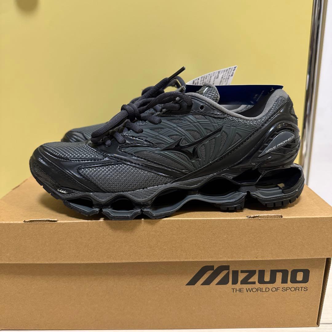 靴 MIZUNO WAVE PROPHECY LS D1GA3337-05