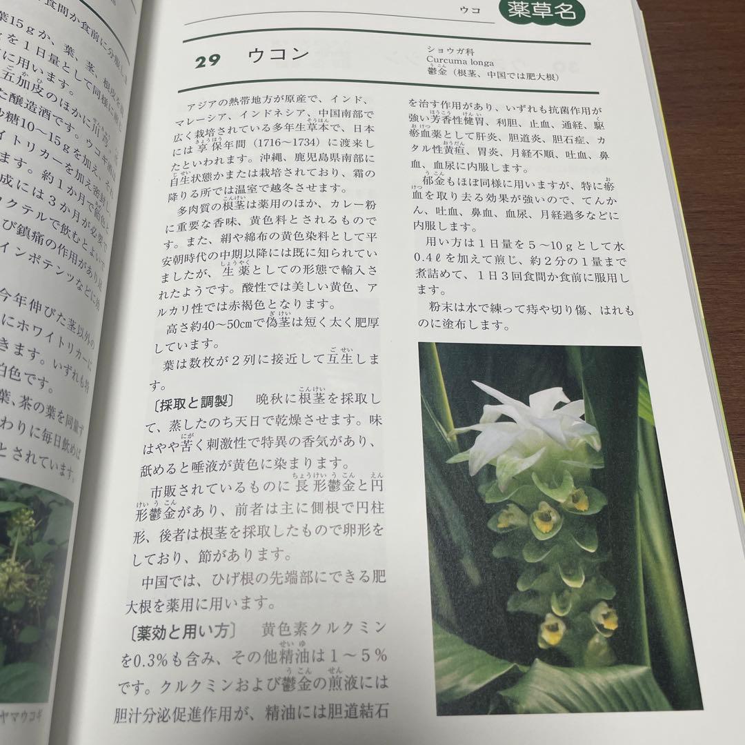 【希少】くらしの薬草と漢方薬－ハーブ・民間薬・生薬－