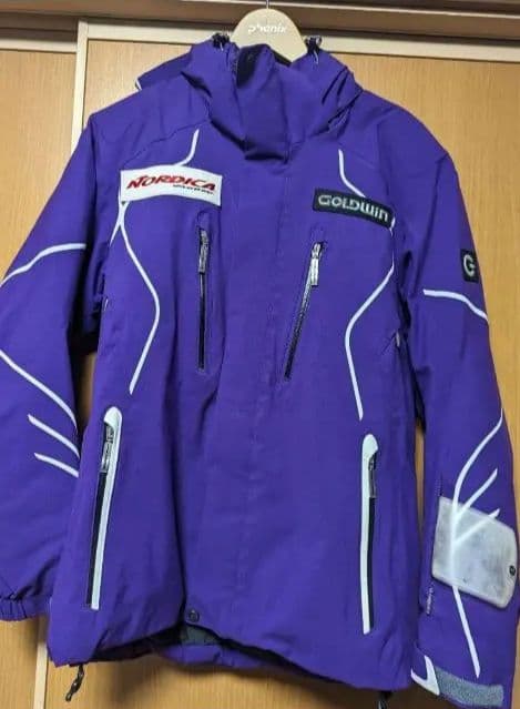 GOLDWIN スキーウェア 上下セット（Lサイズ）ゴールドウィン
