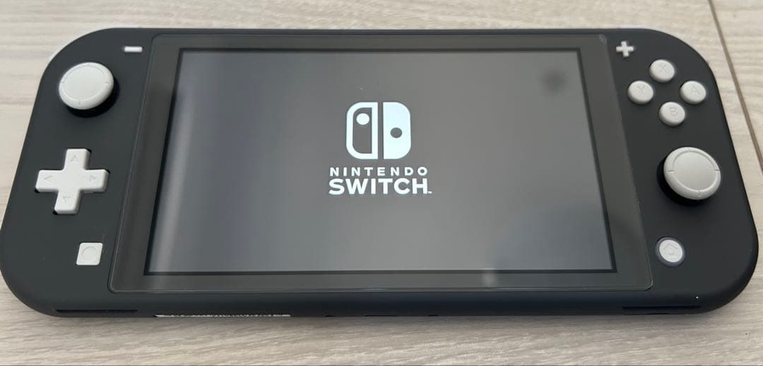 【美品】Nintendo Switch Lite グレー 充電器MSDカード付