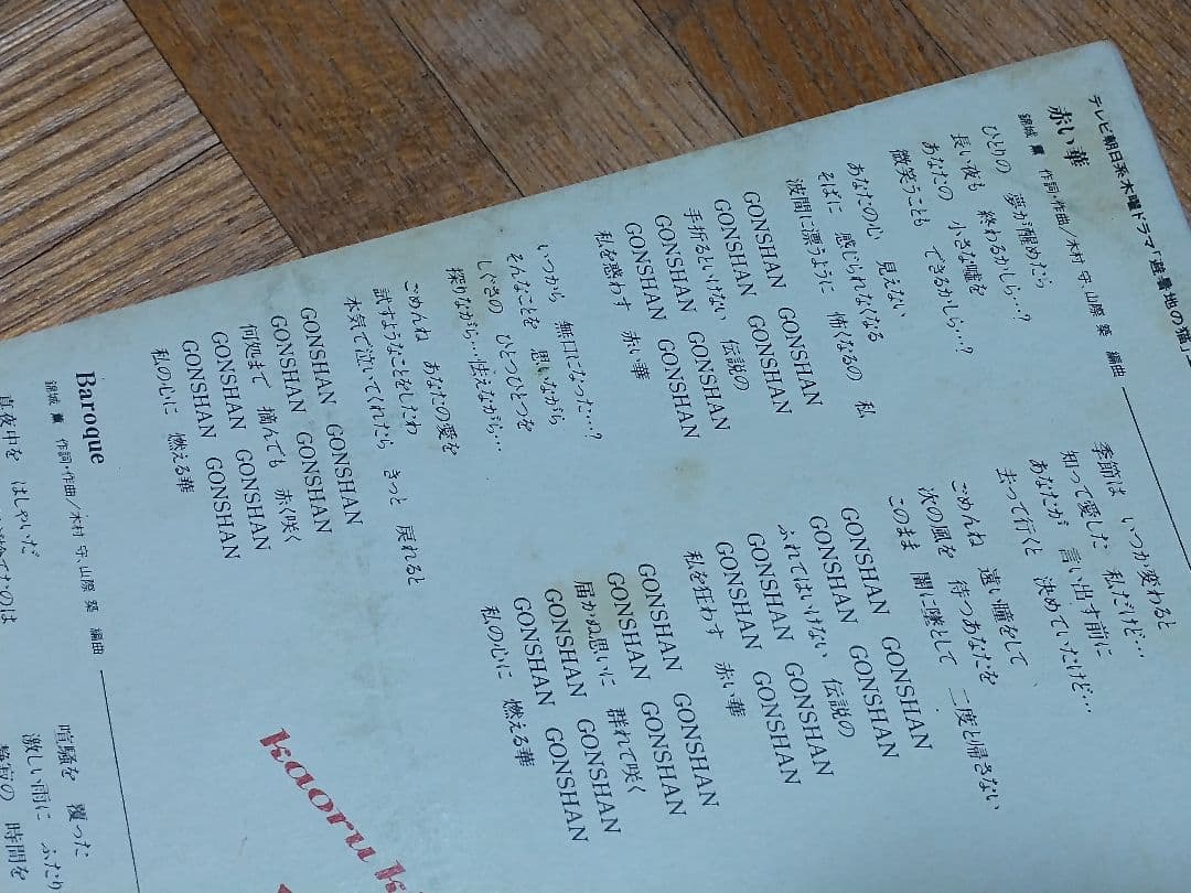 錦城薫 赤い華 避暑地の猫