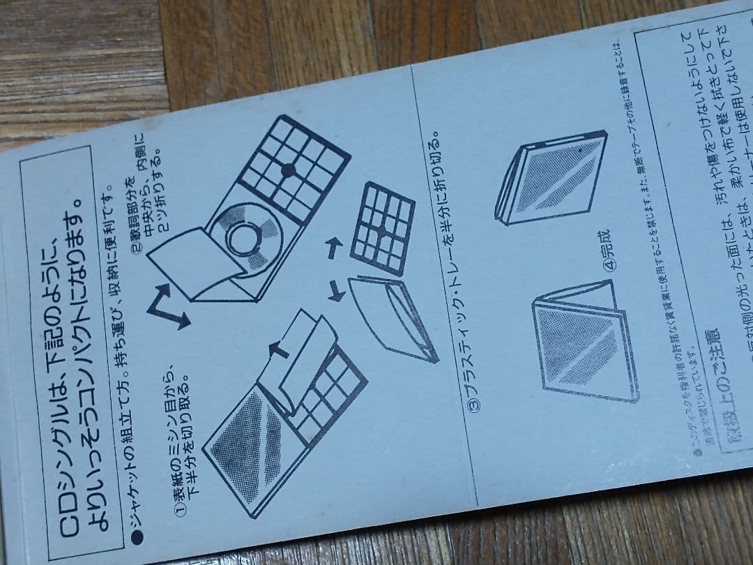 錦城薫 赤い華 避暑地の猫