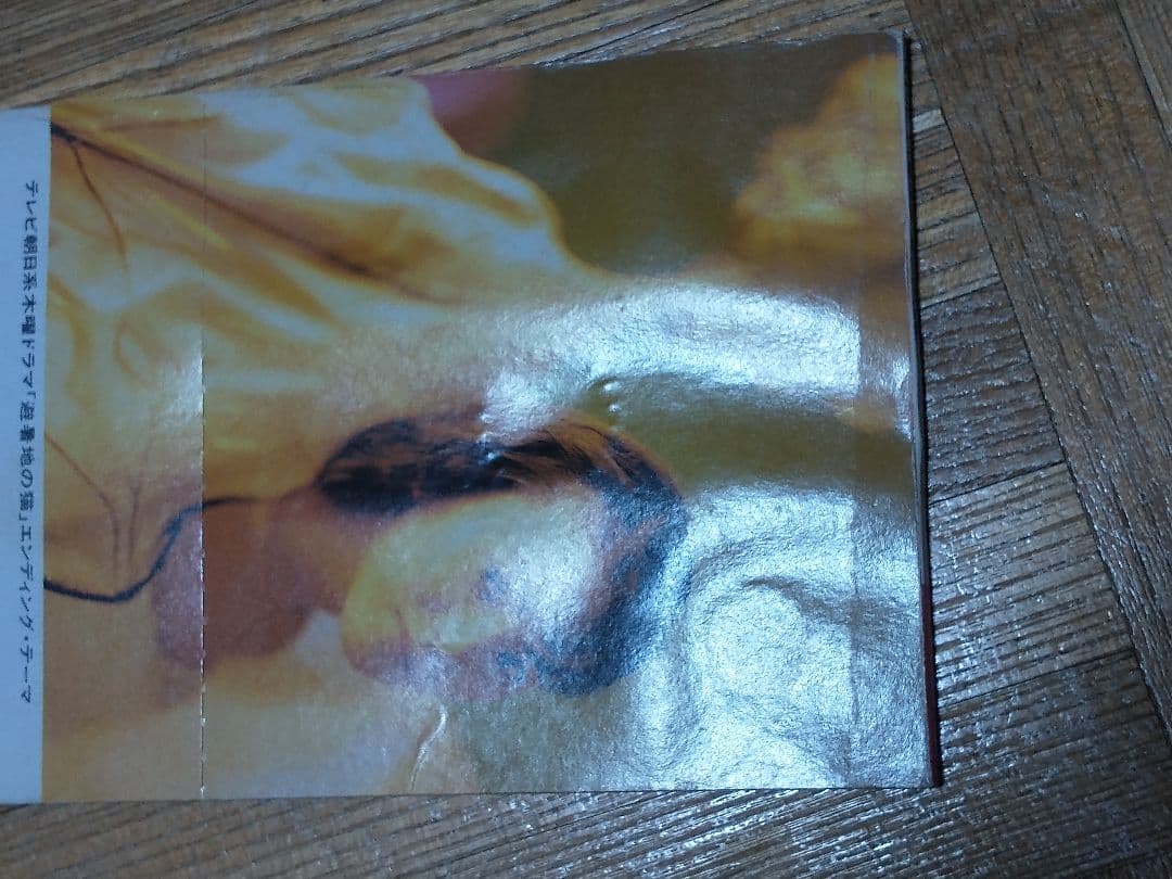 錦城薫 赤い華 避暑地の猫