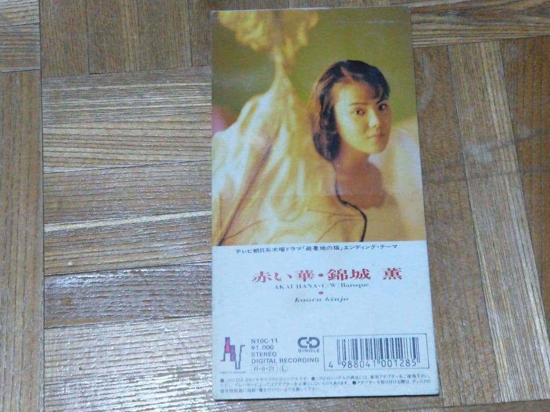 錦城薫 赤い華 避暑地の猫