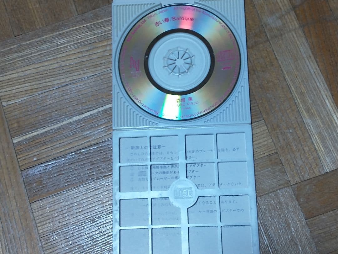 錦城薫 赤い華 避暑地の猫