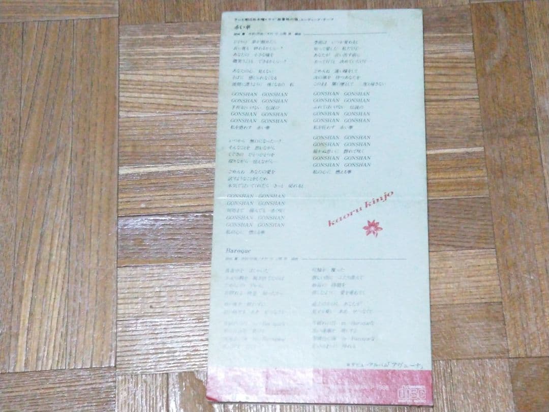 錦城薫 赤い華 避暑地の猫