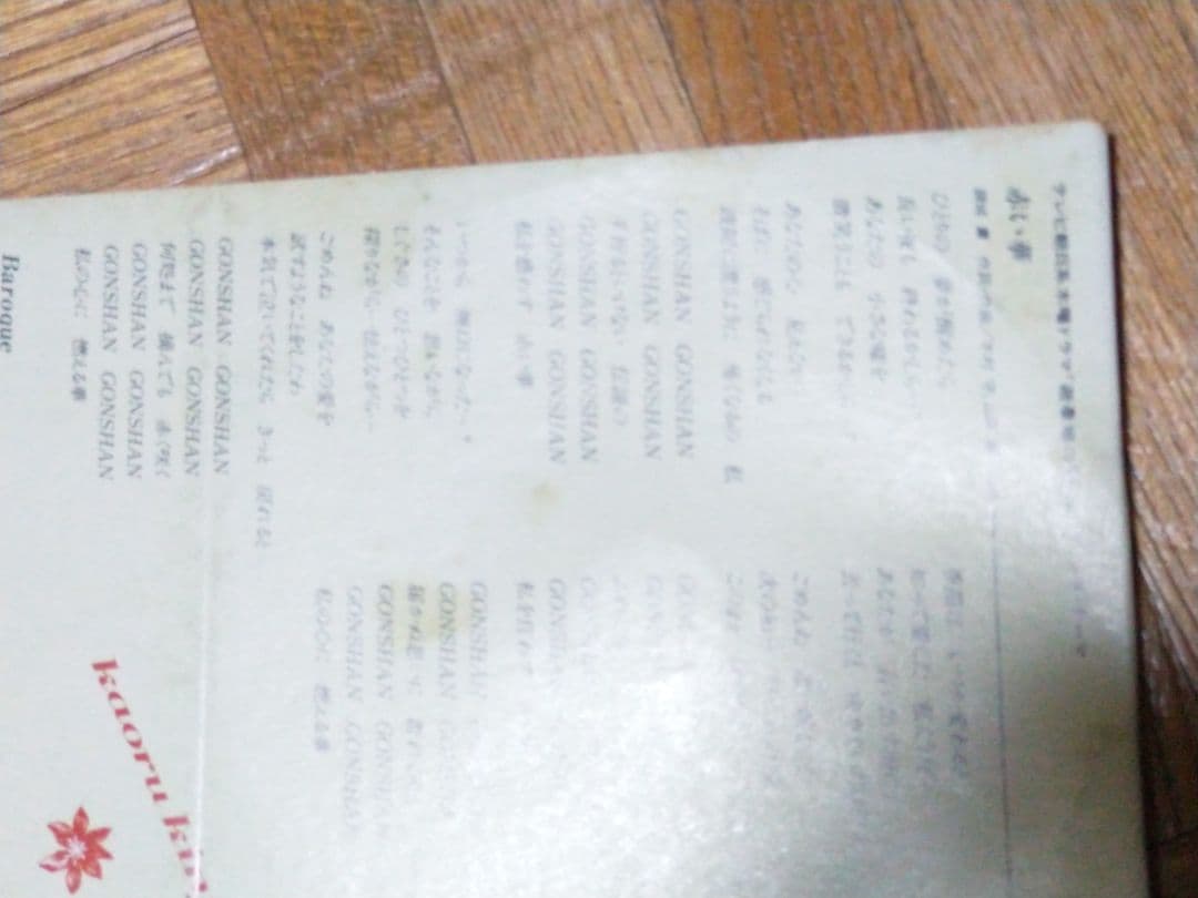 錦城薫 赤い華 避暑地の猫