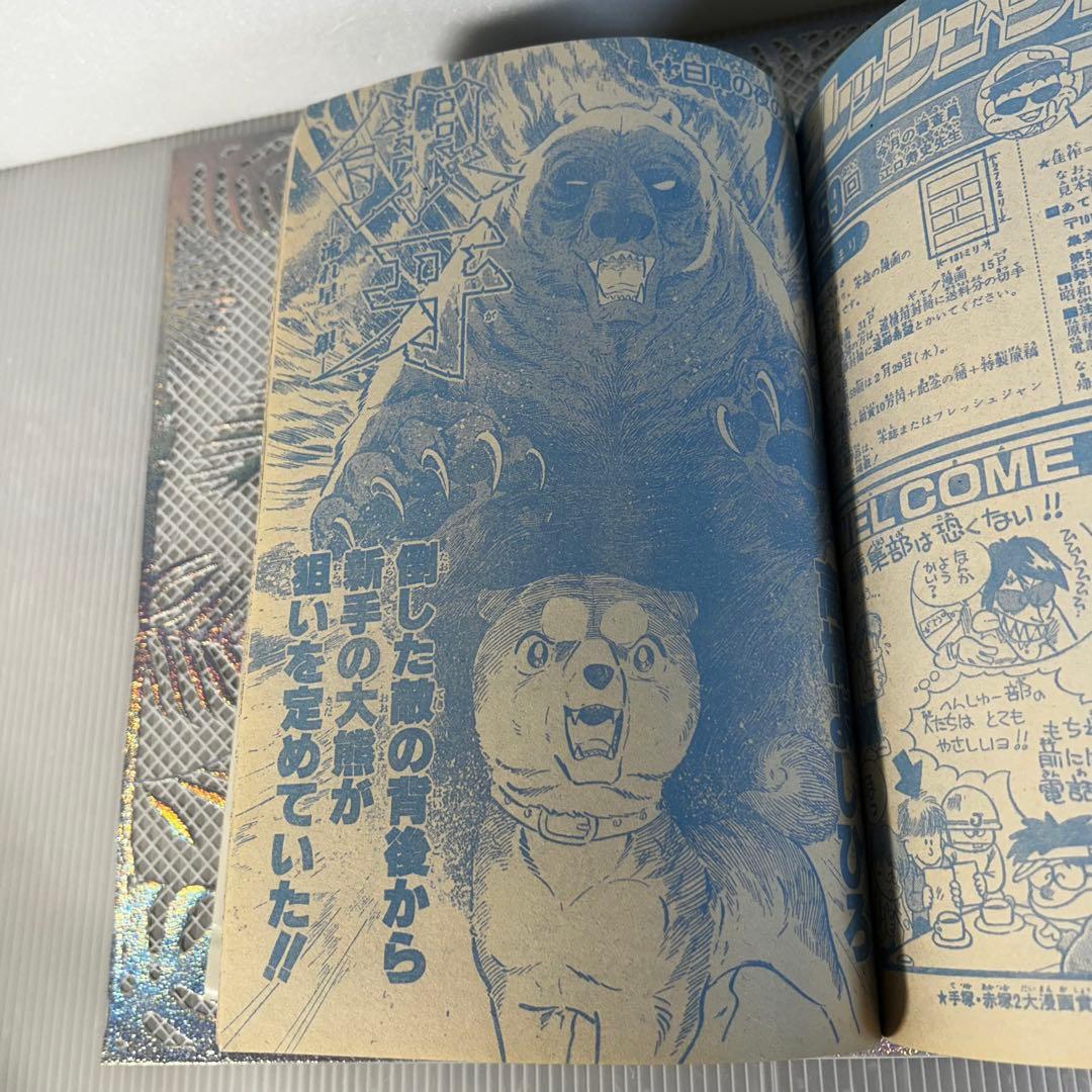 週刊少年ジャンプ 1984年3月5日　北斗の拳　Dr.スランプ　鳥山明