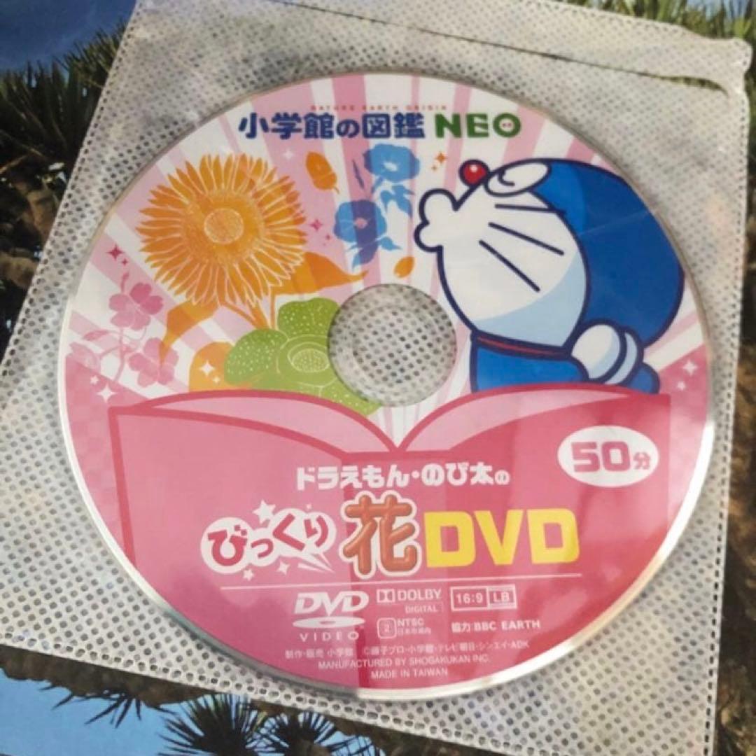 小学館の図鑑　NEO他　12冊セット DVD付き（プラスDVD２枚おまけ）