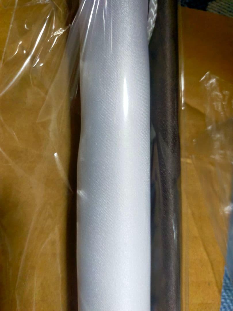 【ビックカメラオリジナル特典付き】百年王国 【Switch】ソフマップ限定特典付