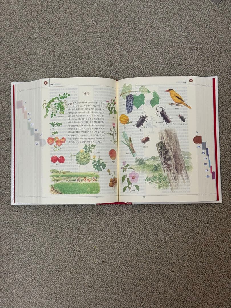 韓国語辞典 보리 국어사전