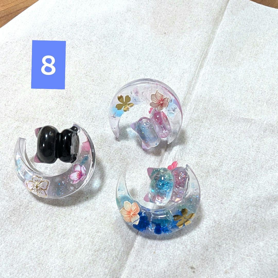 キラ様お取り置き中6月まで