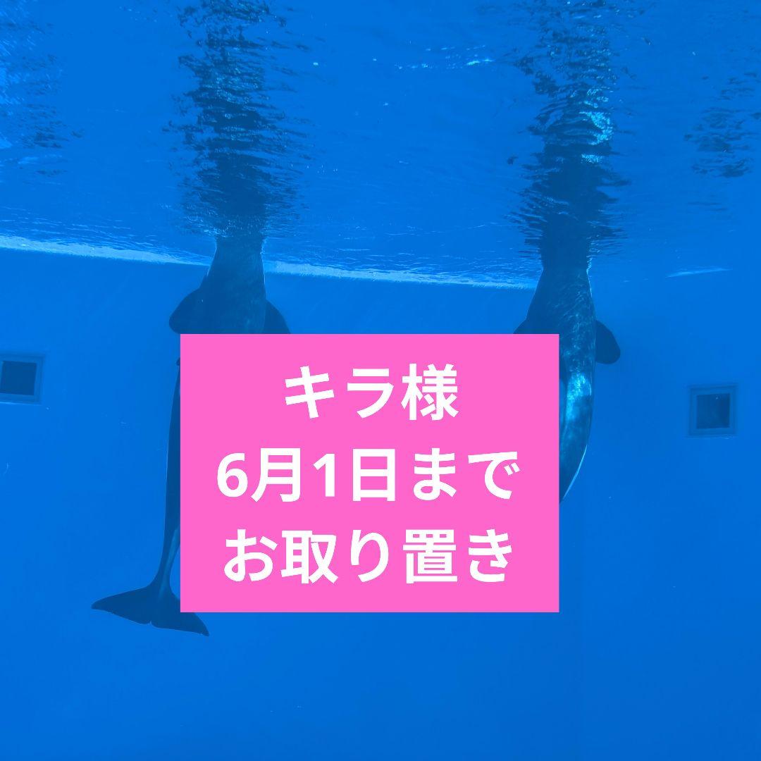 キラ様お取り置き中6月まで